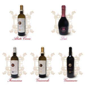 <b>Offerta Degustazione<br>cartone assortito</b> da 5 bottiglie